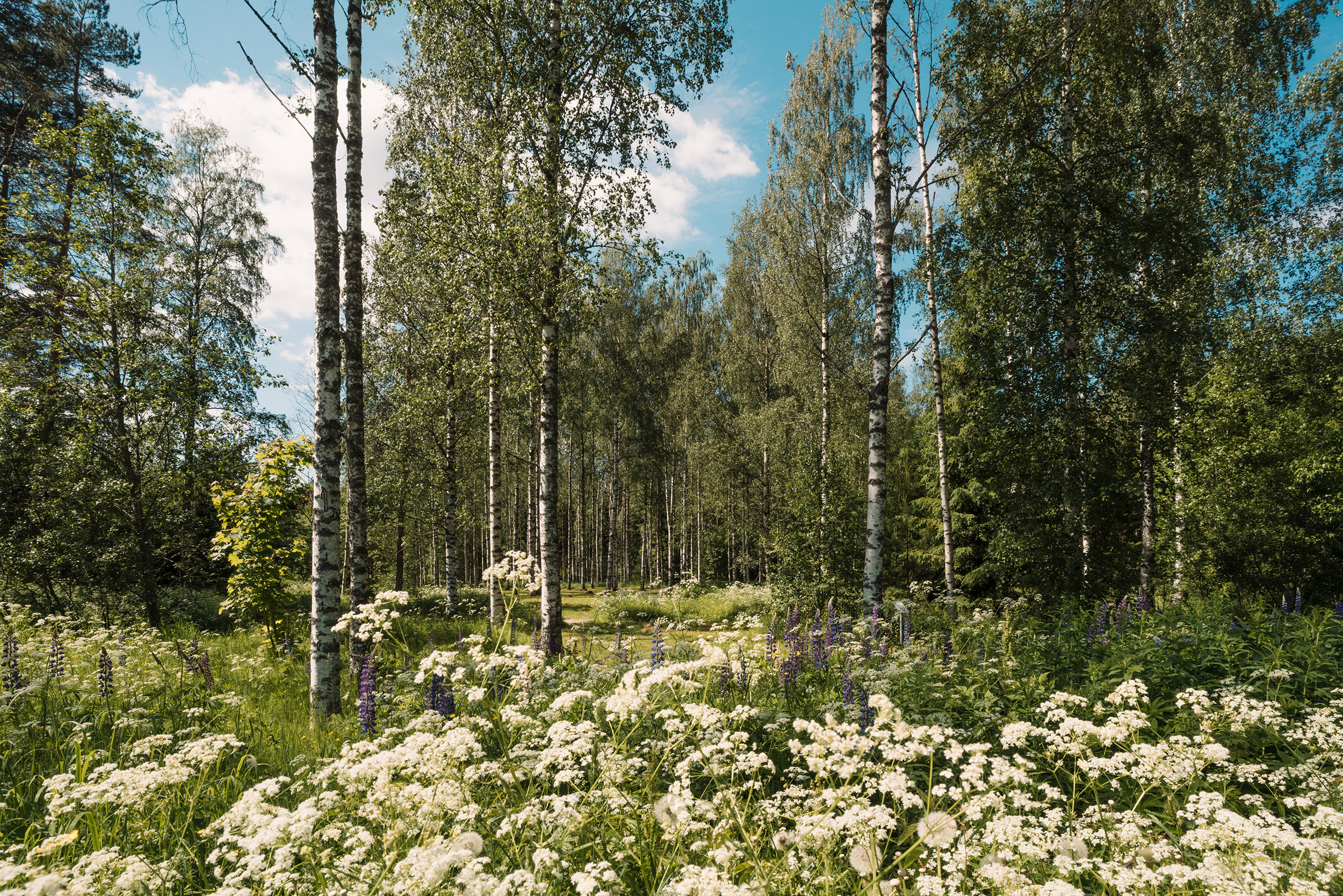 ©DanPetermann_28_Finnland-23