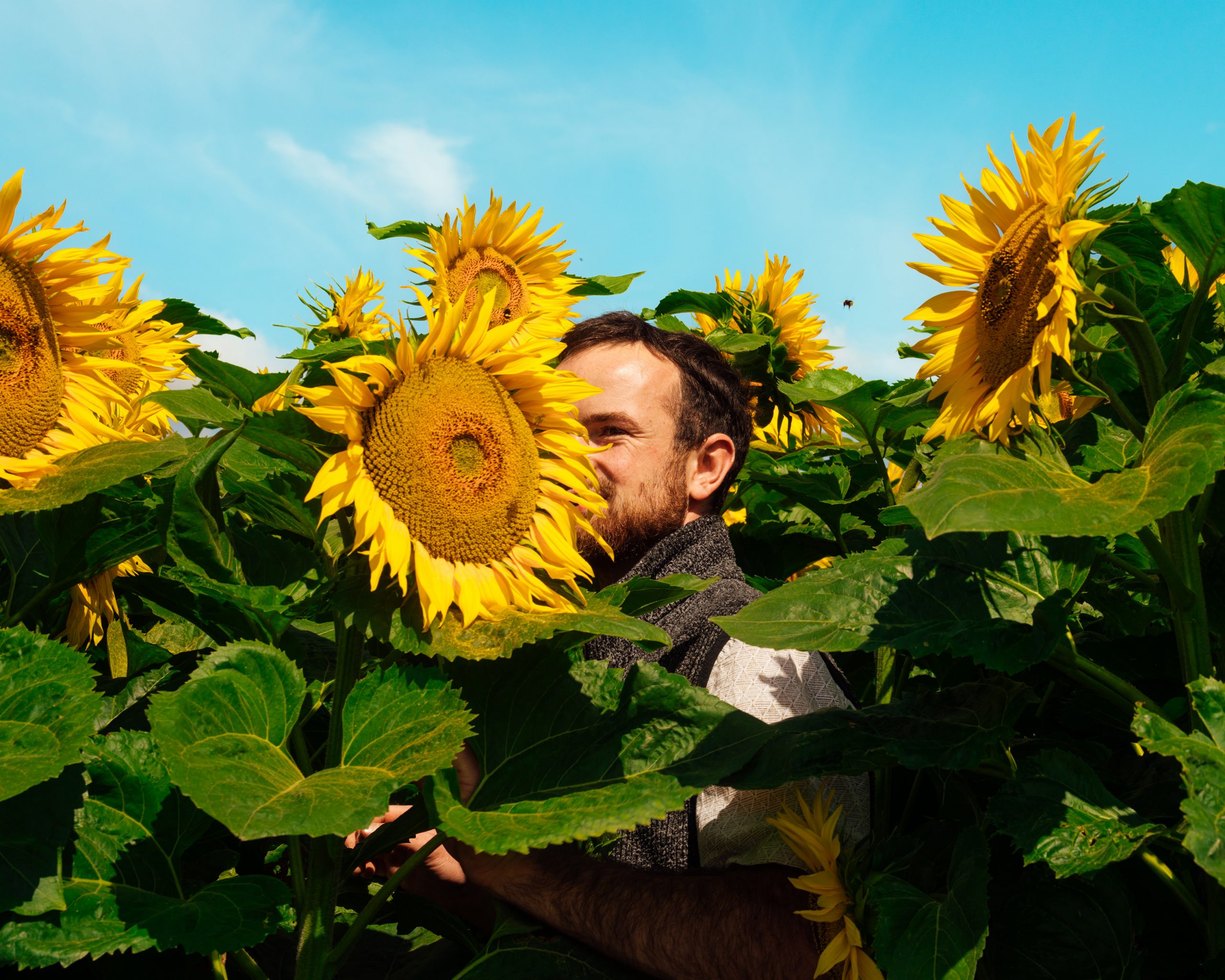 ©DanPetermann_Portfolio2025-003