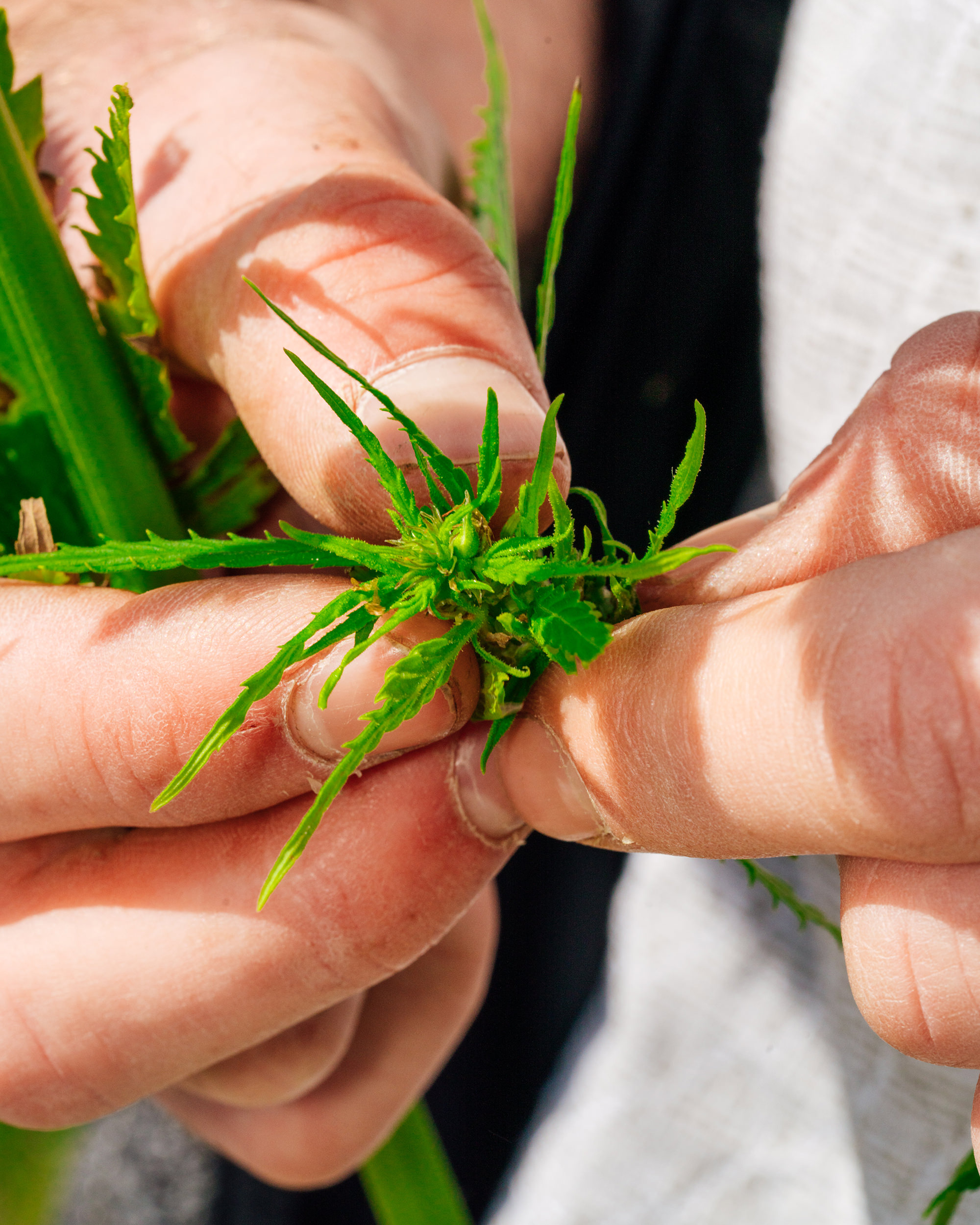 ©DanPetermann_Portfolio2025-004