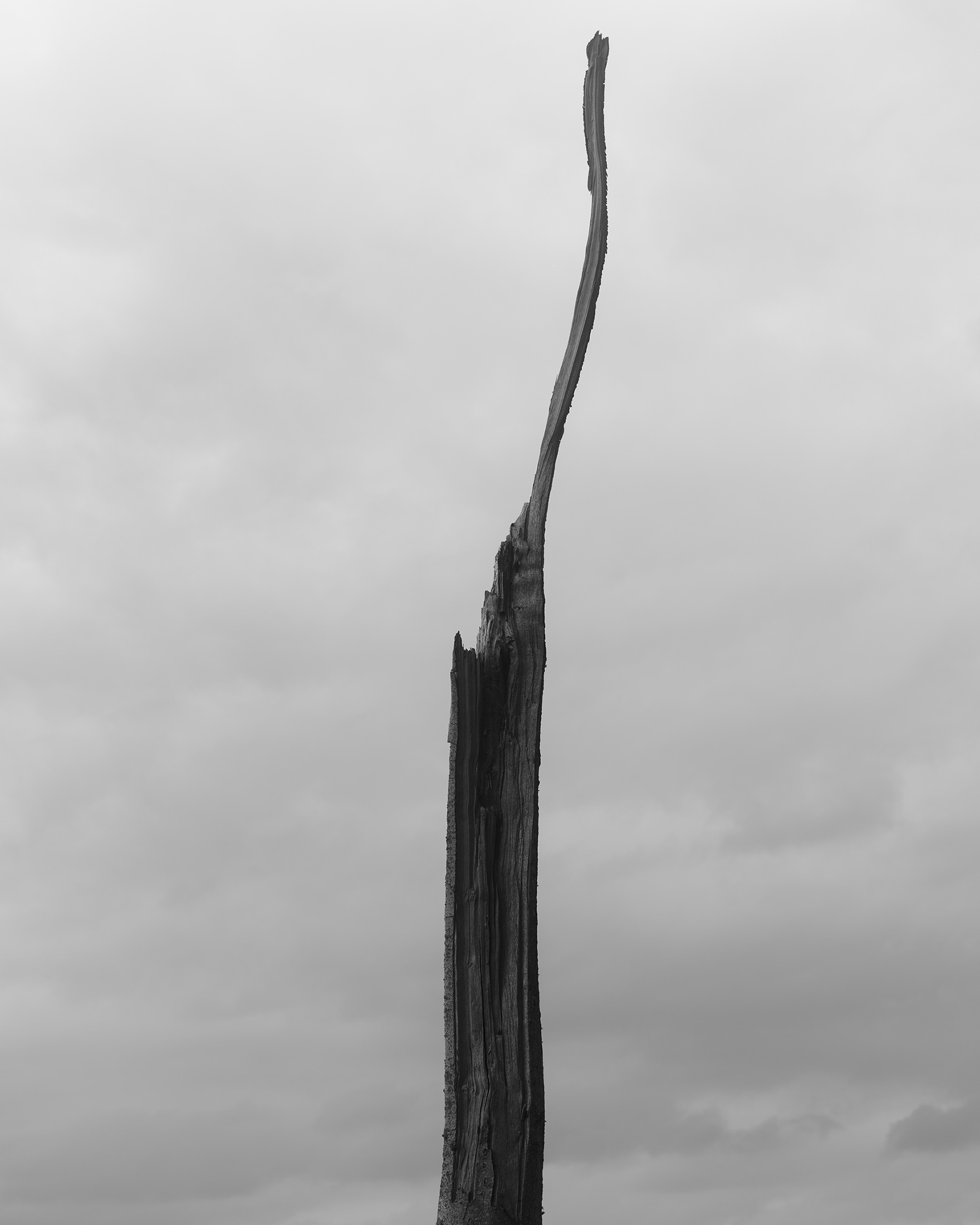 Reportagefotograf Mecklenburg-Vorpommern Dan Petermann Rostock