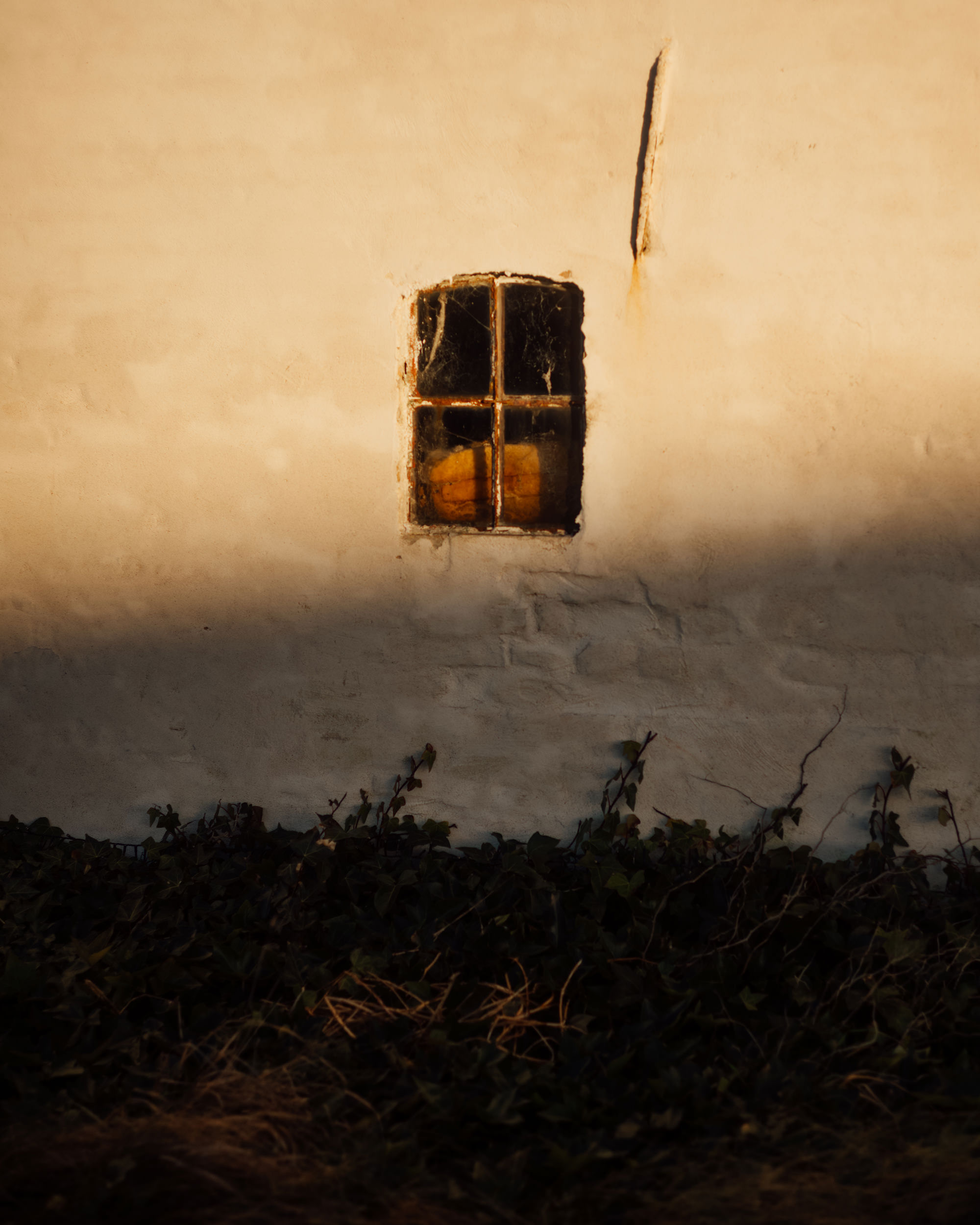 ©DanPetermann_75_RandomDezember_12-2025154