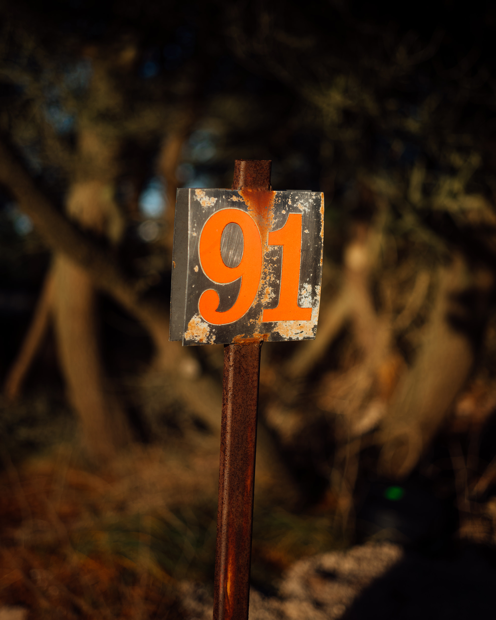 ©DanPetermann_75_RandomDezember_12-2025155