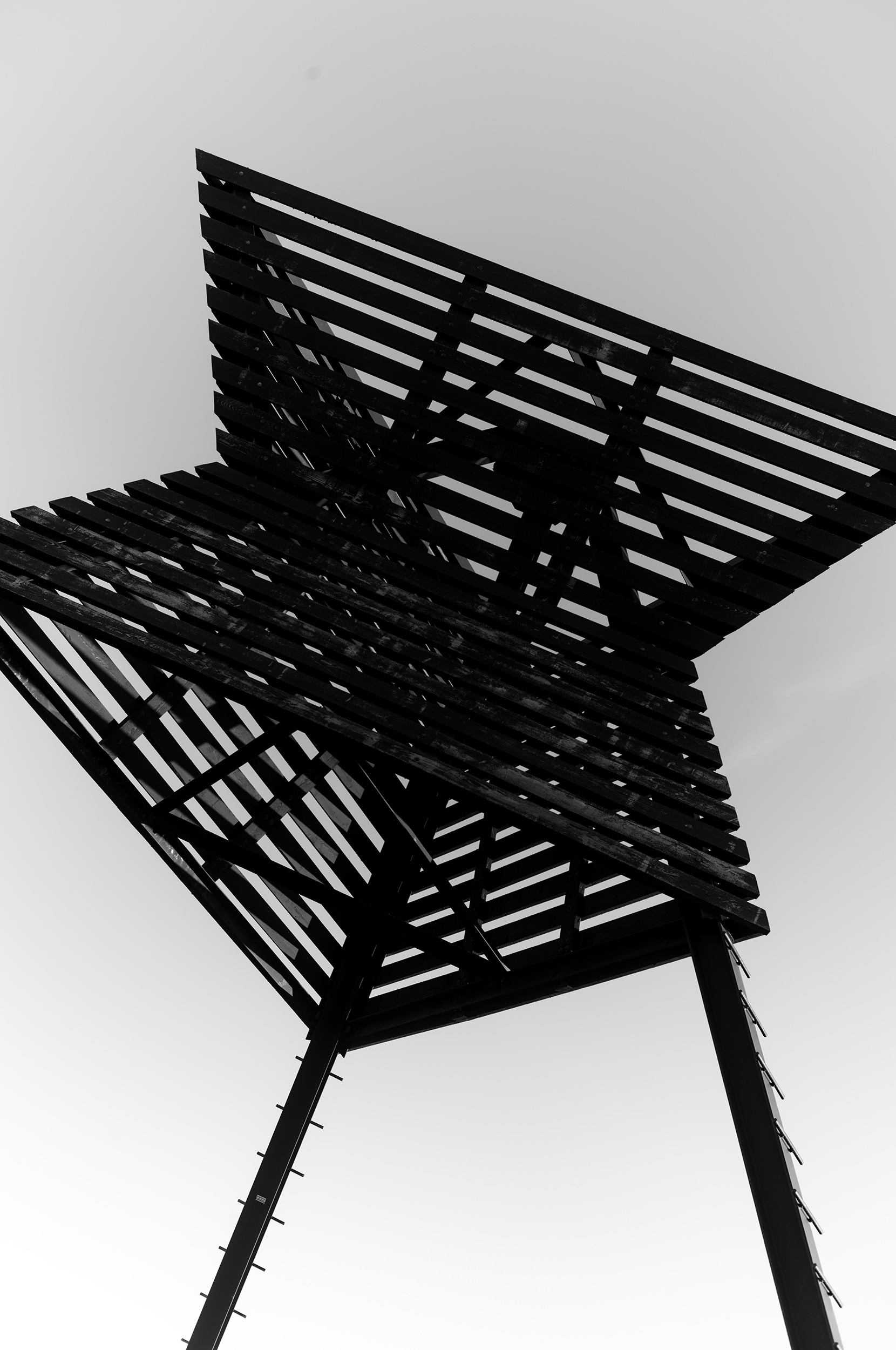 ©DanPetermann_75_RandomDezember_12-2025197