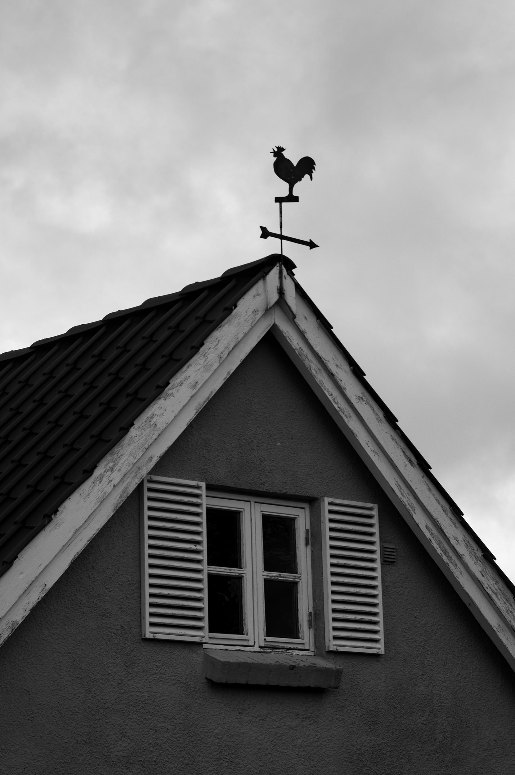 ©DanPetermann_75_RandomDezember_12-2025221