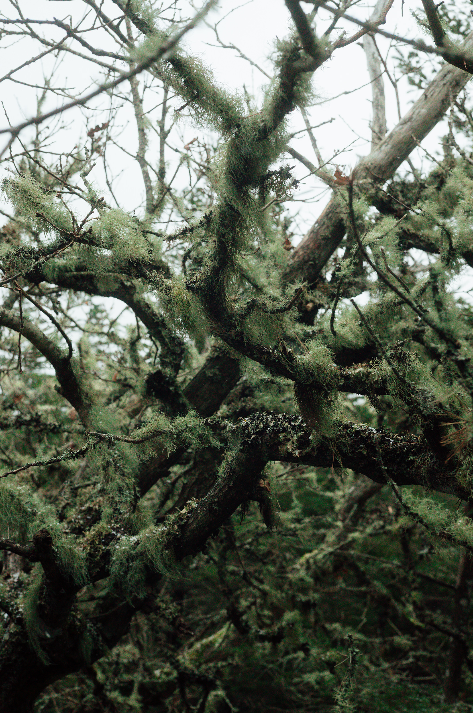 ©DanPetermann_75_RandomDezember_12-2025239