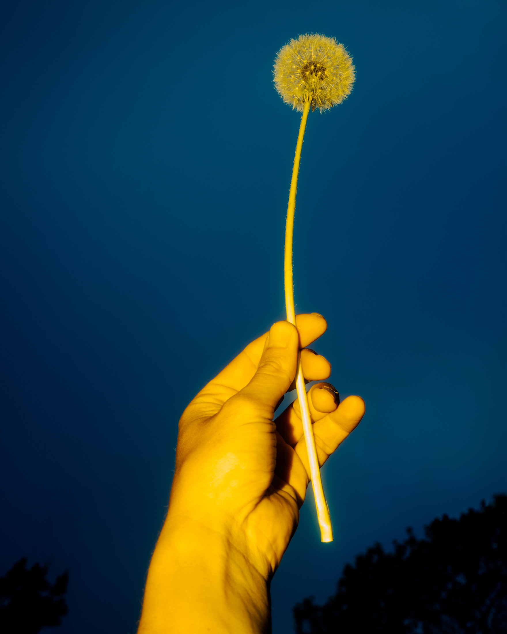 Mana, Freie Arbeit – 2025