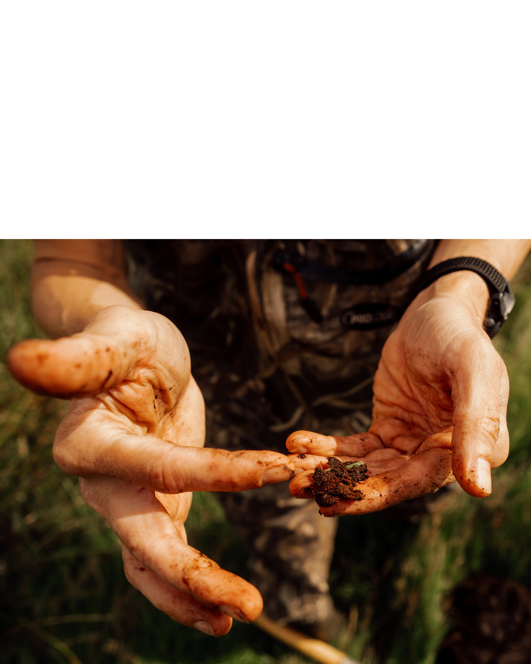 Moorrenaturierungsprojekt Optimum für Universität Greifswald – 2025