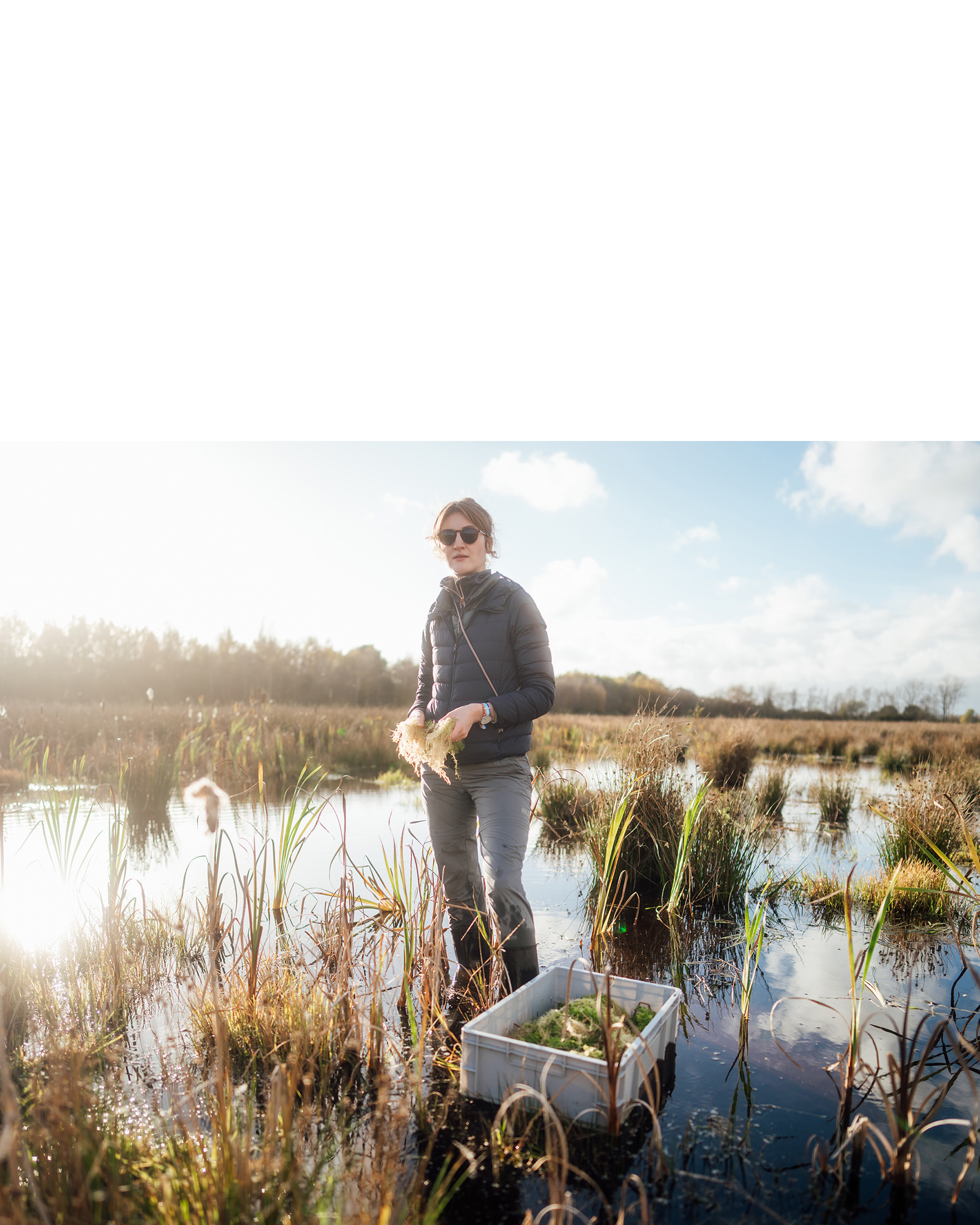 Moorrenaturierungsprojekt Optimum für Universität Greifswald – 2025