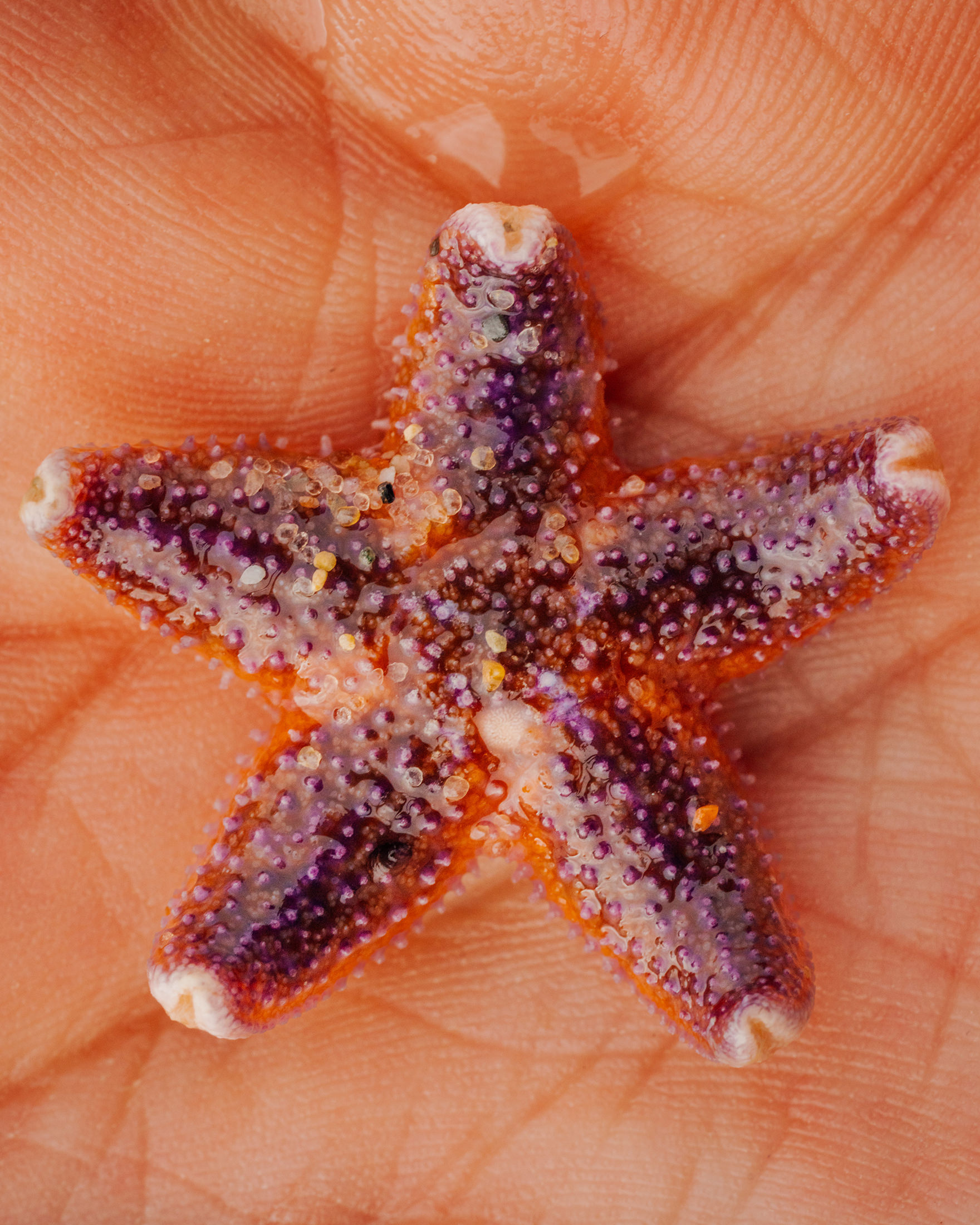 Beach Combing, Serie über Strandmüll, Freie Arbeit – 2023 bis aktuell