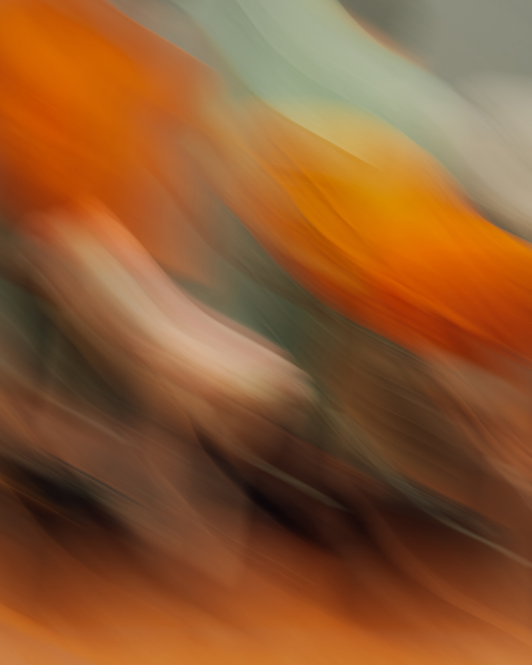 Proben zum Theaterstück Human Community für das Volkstheater Rostock – 2024