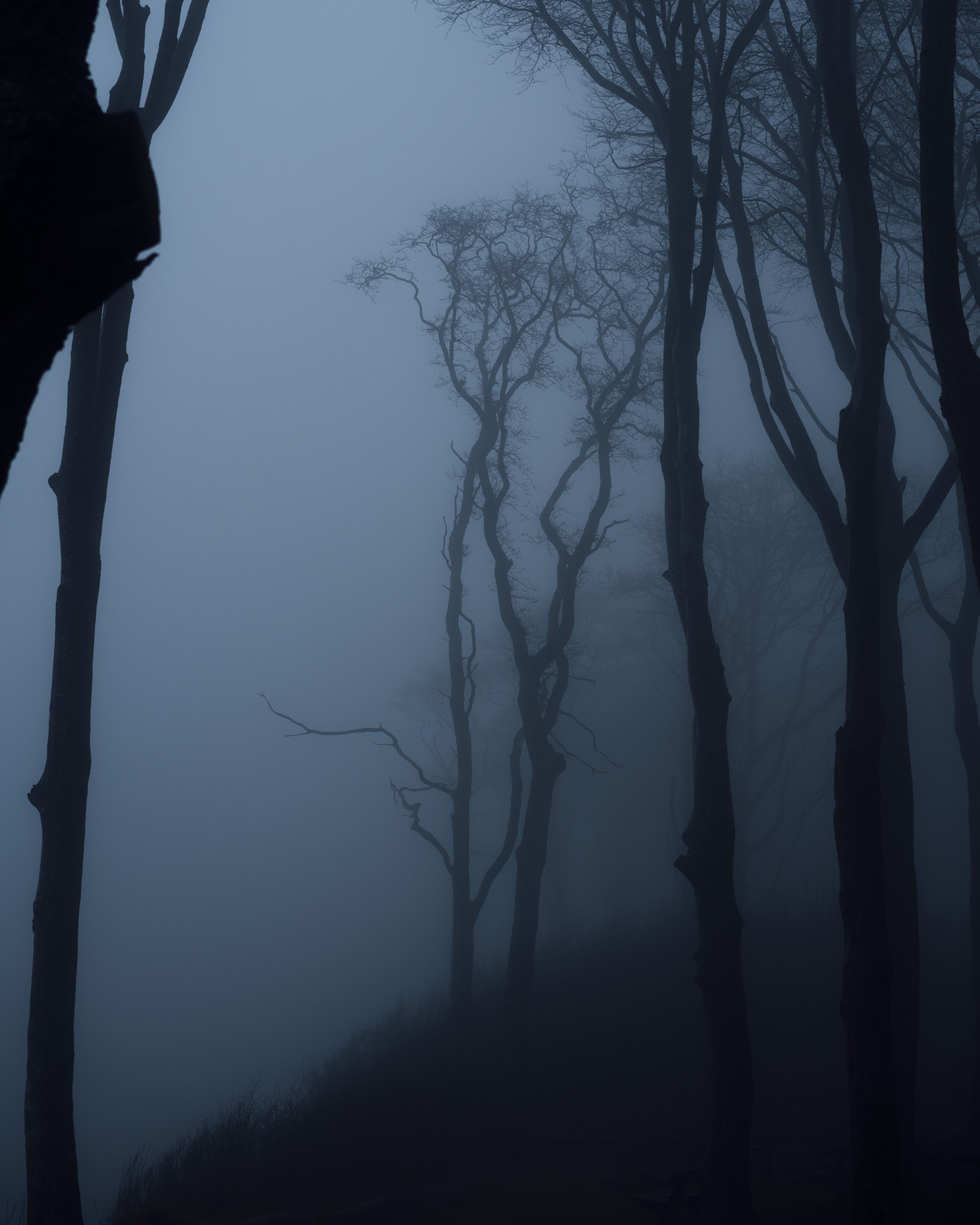 Küstenwald, Freie Arbeit– 2022 bis Heute