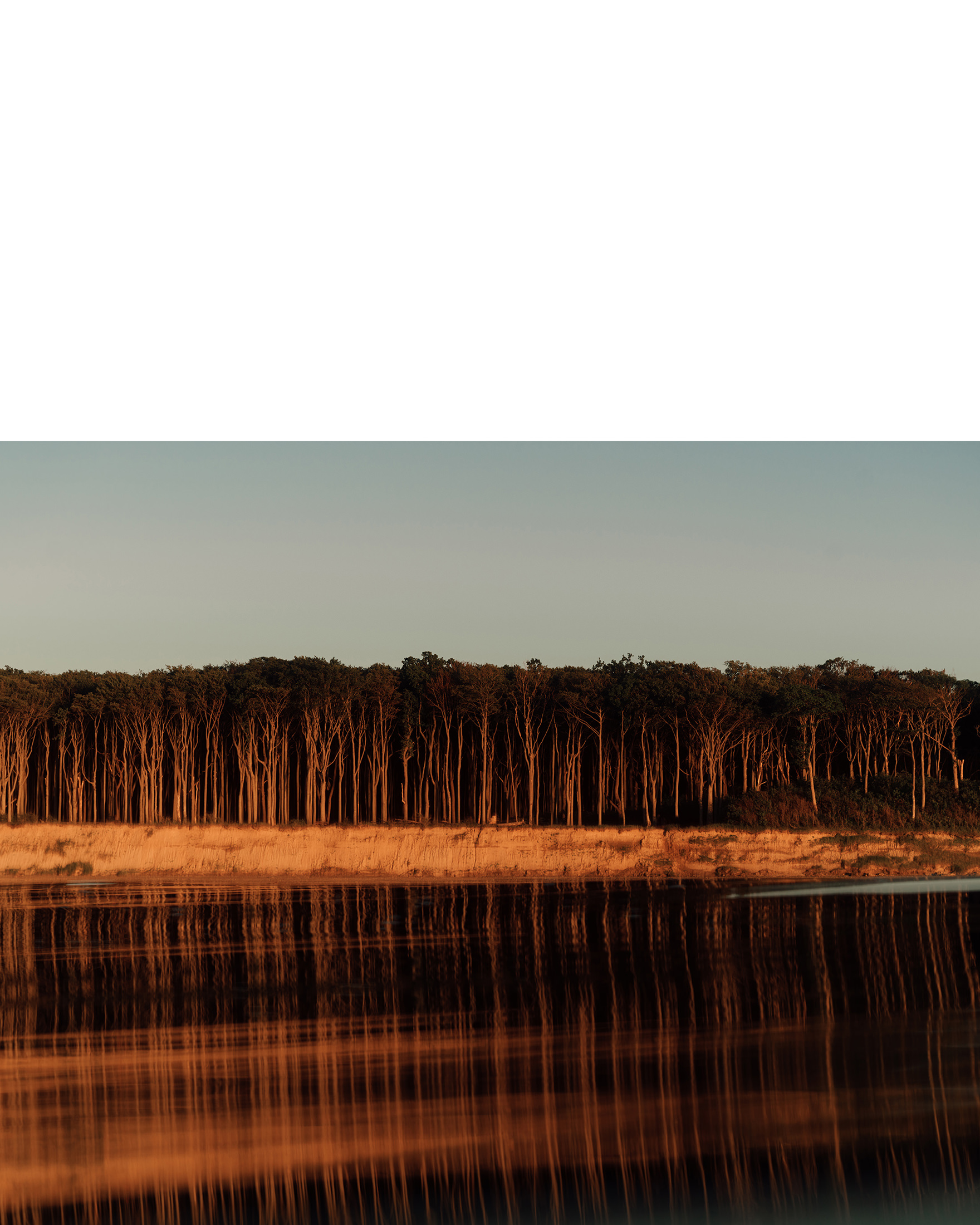 Küstenwald, Freie Arbeit– 2022 bis Heute