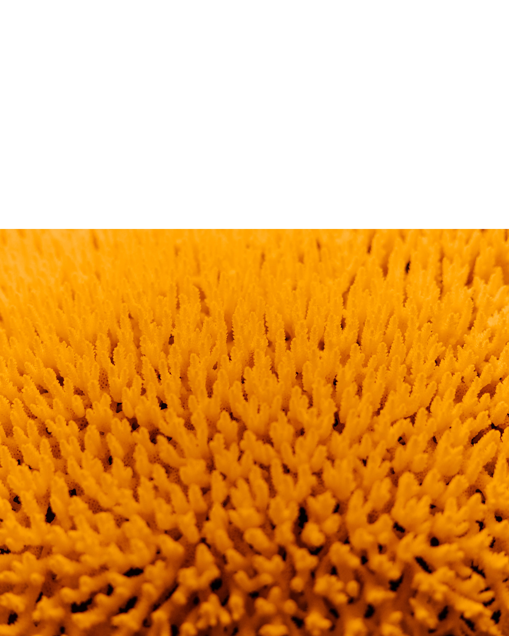 119_©DanPetermann_Portfolio2026